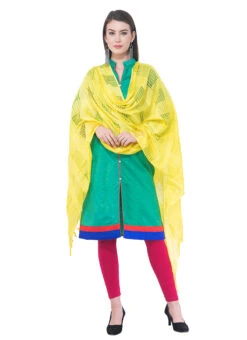 Lemon Yellow Cotton Weaving Work Dupatta Work Wear -C Bazaar Shop lemon yellow cotton weaving work dupatta dpdmimfd095 u