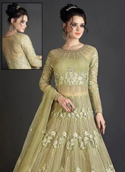 Light Green Embroidered A Line Anarkali Lehenga Party Wear -C Bazaar Shop light green embroidered abaya style anarkali suit slscct10006 b
