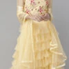 Light Yellow Net Embroidered A Line Lehenga Festive Wear