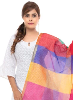 Multicolor Chanderi Cotton Dupatta Festive Wear -C Bazaar Shop multicolor chanderi cotton dupatta dpdmfmfd023 b