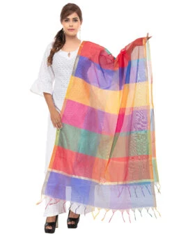 Multicolor Chanderi Cotton Dupatta Festive Wear -C Bazaar Shop multicolor chanderi cotton dupatta dpdmfmfd023 u