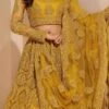 Mustard Net Embroidered N Stones Umbrella Lehenga Wedding Wear
