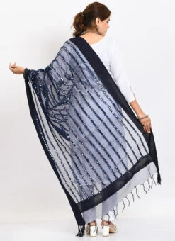 Navy Blue Organza Cotton Mirror Embroidery Dupatta Work Wear -C Bazaar Shop navy blue organza cotton mirror embroidery dupatta dpdmimfd129 b