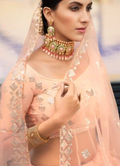 Peach Net Umbrella Lehenga Wedding Wear 7 Peach Net Umbrella Lehenga Wedding Wear -C Bazaar Shop peach net umbrella lehenga ghsak41366003 b