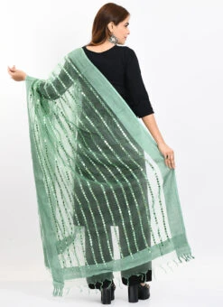 Pista Green Organza Cotton Mirror Embroidery Dupatta Work Wear -C Bazaar Shop pista green organza cotton mirror embroidery dupatta dpdmimfd135 b