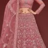Rose Gold Net Embroidered Work Umbrella Lehenga Choli Party Wear