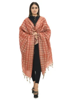 Rust Handloom Cotton Weaving Work Dupatta Work Wear -C Bazaar Shop rust handloom cotton weaving work dupatta dpdmimfd073 u