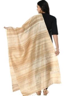 Tussar Art Silk Dupatta After Six Wear -C Bazaar Shop tussar art silk dupatta dpsdmfd190 b