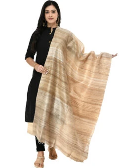 Tussar Art Silk Dupatta After Six Wear -C Bazaar Shop tussar art silk dupatta dpsdmfd190 u